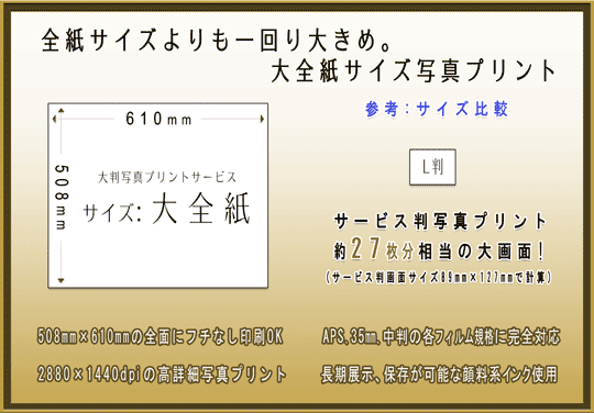 STCY傫߁BSTCYʐ^vgT[rX